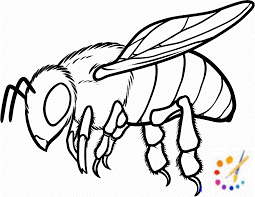 How to draw a bee