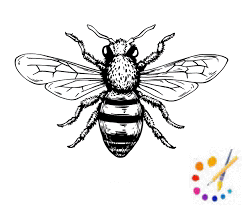 How to draw a bee