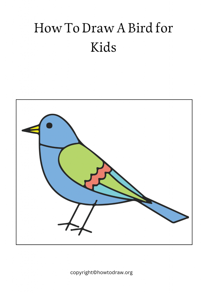 How To Draw A Bird for Kids